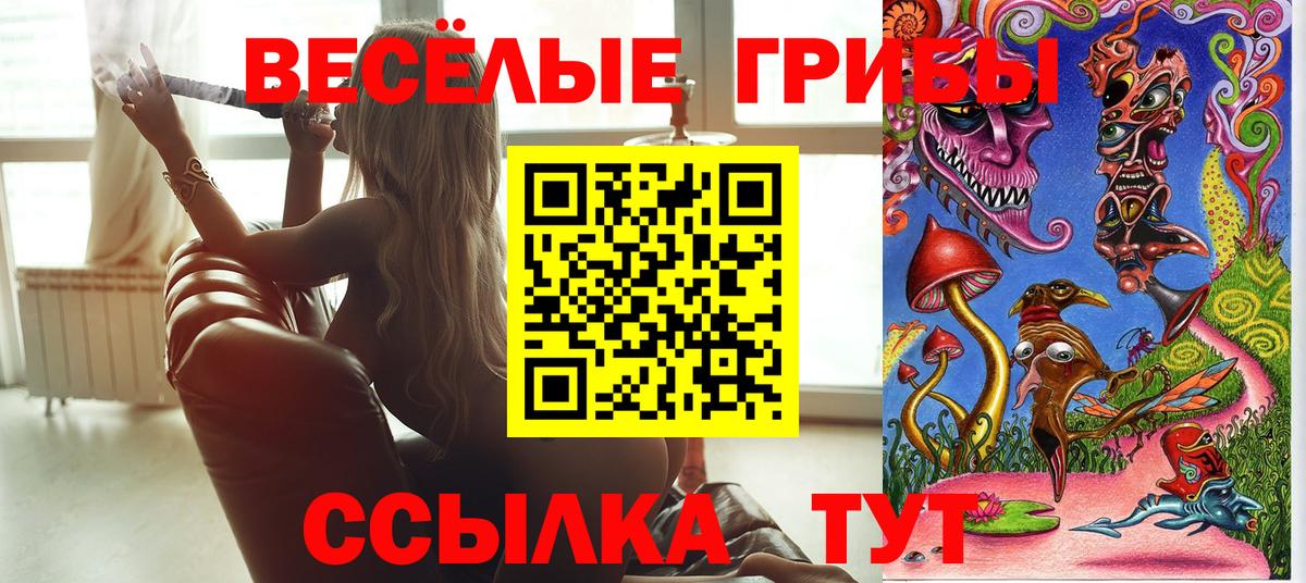 Псилоцибиновые грибы ЛСД Ипатово