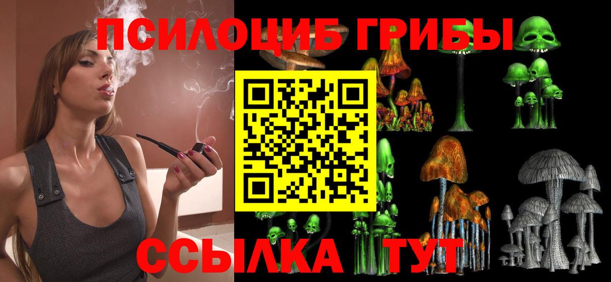 Псилоцибиновые грибы MAGIC MUSHROOMS  Вход с VPN  Ипатово 