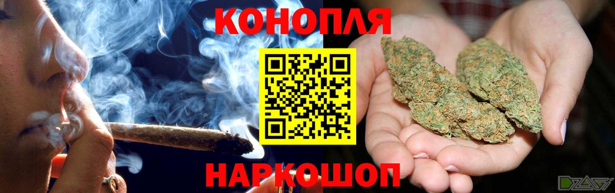 Бошки Шишки семена Ипатово